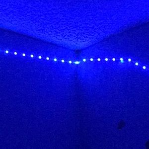 Meet your Posher, Dexter